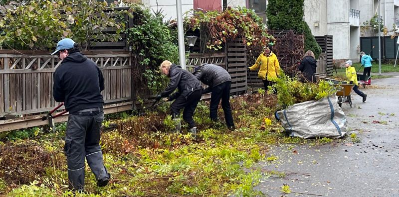 Autumn Talkoot in Kerava in 2025